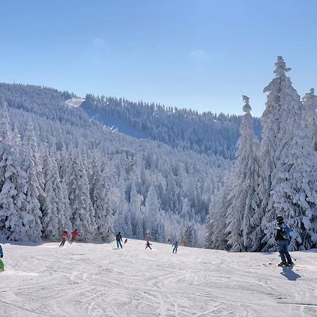 뉴라이체나우 Panorama Bayerwald 아파트 외부 사진