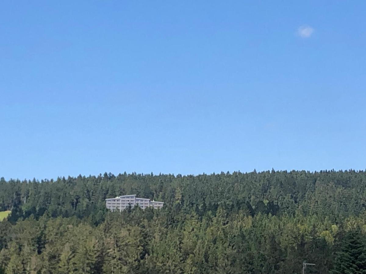 뉴라이체나우 Panorama Bayerwald 아파트 외부 사진