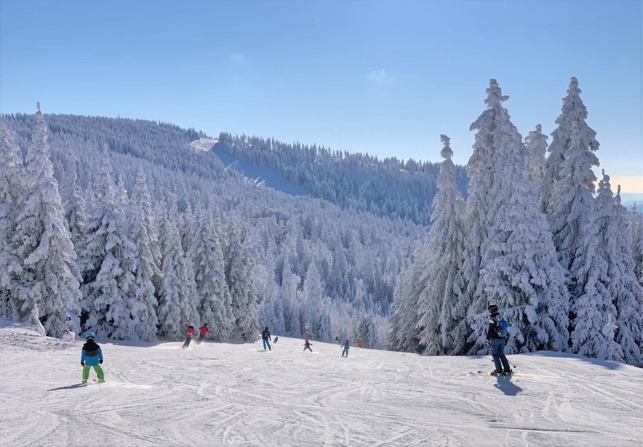뉴라이체나우 Panorama Bayerwald 아파트 외부 사진