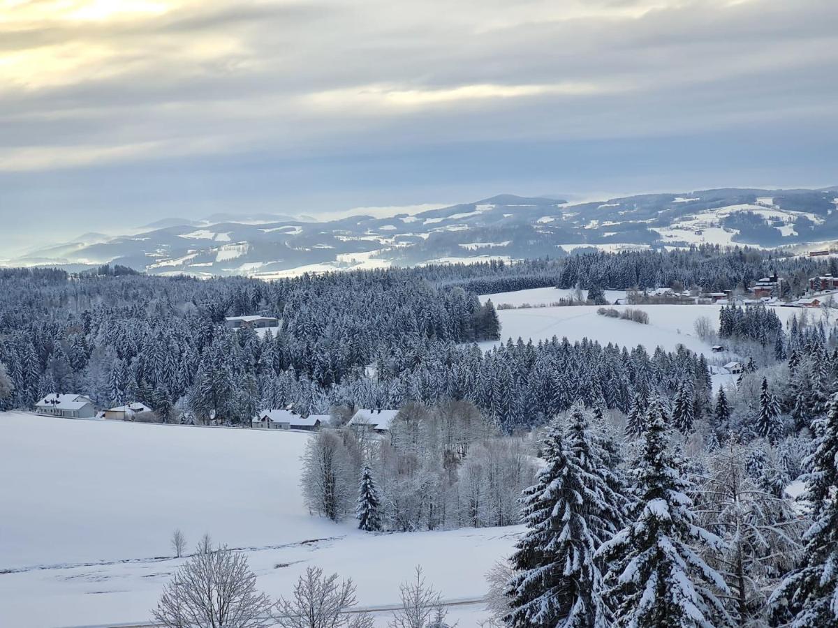 뉴라이체나우 Panorama Bayerwald 아파트 외부 사진