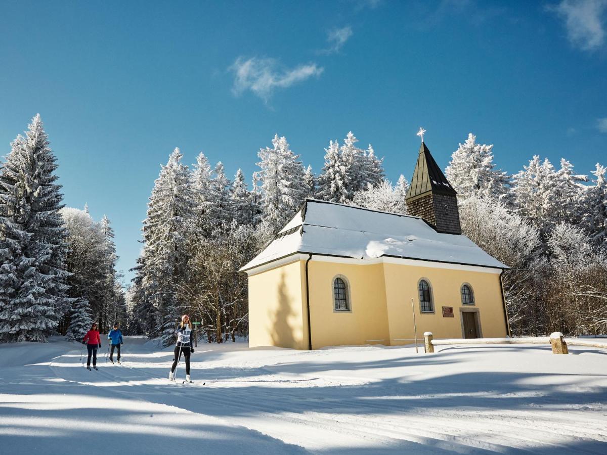 뉴라이체나우 Panorama Bayerwald 아파트 외부 사진